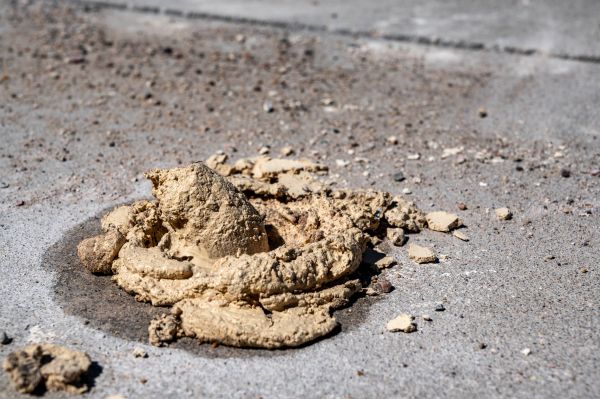 Cost of Driveway Slab Leveling in Evergreen